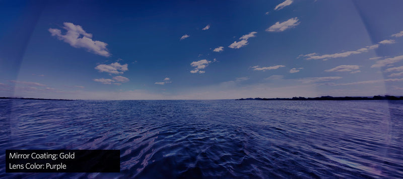 best view swimming goggle